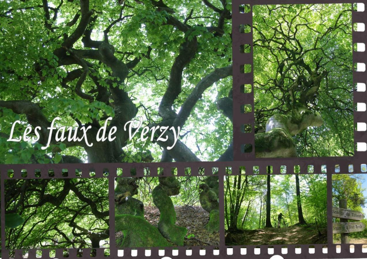 Bedinreims "Burgundy Bottle" 110M2 Exceptional, 4 Chambres Doubles, 2 Bain, Free Park & Wifi, Tout Equipe מראה חיצוני תמונה